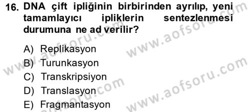Temel Veteriner Genetik Dersi 2014 - 2015 Yılı Tek Ders Sınav Soruları 16. Soru