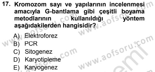 Temel Veteriner Genetik Dersi 2014 - 2015 Yılı Tek Ders Sınav Soruları 17. Soru