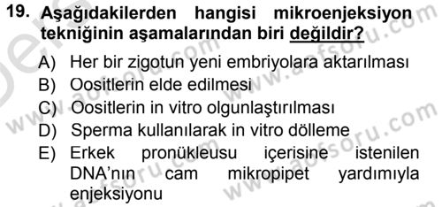 Temel Veteriner Genetik Dersi 2014 - 2015 Yılı Tek Ders Sınav Soruları 19. Soru