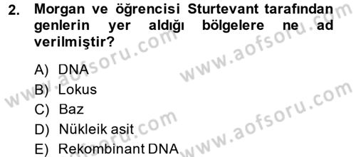 Temel Veteriner Genetik Dersi 2014 - 2015 Yılı Tek Ders Sınav Soruları 2. Soru