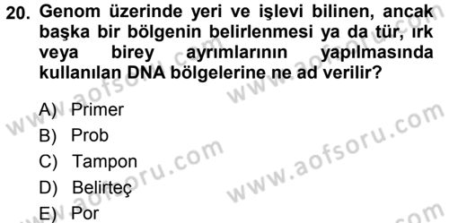 Temel Veteriner Genetik Dersi 2014 - 2015 Yılı Tek Ders Sınav Soruları 20. Soru