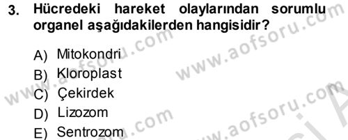 Temel Veteriner Genetik Dersi 2014 - 2015 Yılı Tek Ders Sınav Soruları 3. Soru