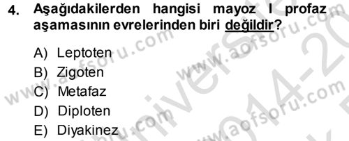Temel Veteriner Genetik Dersi 2014 - 2015 Yılı Tek Ders Sınav Soruları 4. Soru