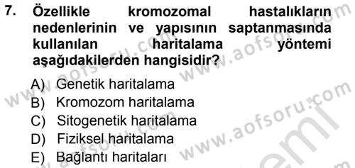 Temel Veteriner Genetik Dersi 2014 - 2015 Yılı Tek Ders Sınav Soruları 7. Soru