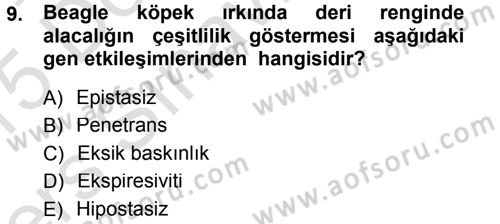 Temel Veteriner Genetik Dersi 2014 - 2015 Yılı Tek Ders Sınav Soruları 9. Soru