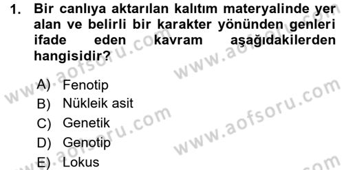 Temel Veteriner Genetik Dersi Ara Sınavı Deneme Sınav Soruları 1. Soru