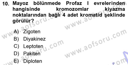 Temel Veteriner Genetik Dersi 2015 - 2016 Yılı (Vize) Ara Sınav Soruları 10. Soru