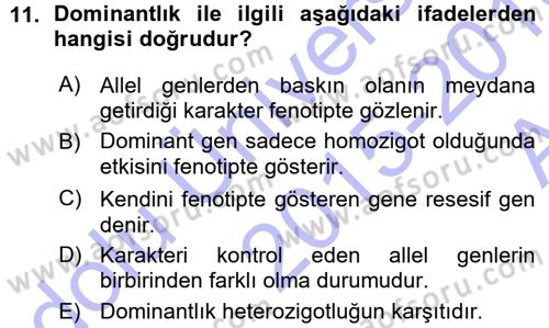 Temel Veteriner Genetik Dersi 2015 - 2016 Yılı (Vize) Ara Sınav Soruları 11. Soru