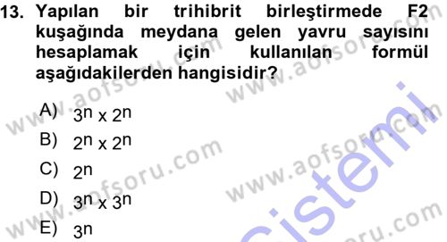 Temel Veteriner Genetik Dersi Ara Sınavı Deneme Sınav Soruları 13. Soru