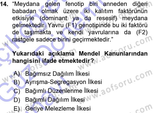 Temel Veteriner Genetik Dersi Ara Sınavı Deneme Sınav Soruları 14. Soru