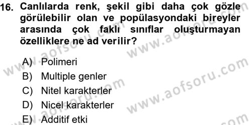 Temel Veteriner Genetik Dersi Ara Sınavı Deneme Sınav Soruları 16. Soru