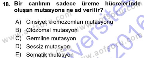 Temel Veteriner Genetik Dersi Ara Sınavı Deneme Sınav Soruları 18. Soru