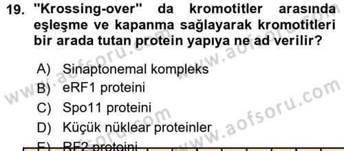 Temel Veteriner Genetik Dersi 2015 - 2016 Yılı (Vize) Ara Sınav Soruları 19. Soru