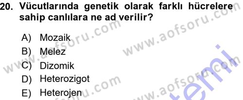 Temel Veteriner Genetik Dersi 2015 - 2016 Yılı (Vize) Ara Sınav Soruları 20. Soru