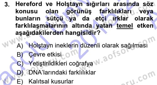 Temel Veteriner Genetik Dersi 2015 - 2016 Yılı (Vize) Ara Sınav Soruları 3. Soru