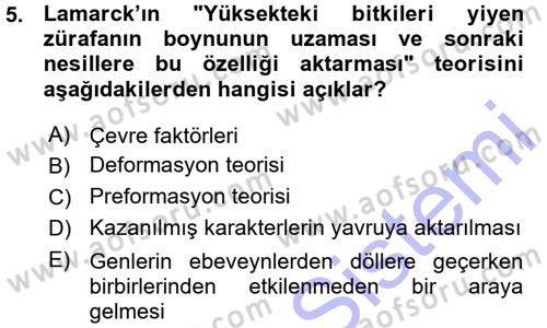 Temel Veteriner Genetik Dersi Ara Sınavı Deneme Sınav Soruları 5. Soru