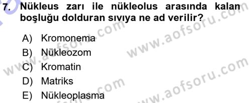 Temel Veteriner Genetik Dersi 2015 - 2016 Yılı (Vize) Ara Sınav Soruları 7. Soru