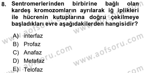 Temel Veteriner Genetik Dersi 2015 - 2016 Yılı (Vize) Ara Sınav Soruları 8. Soru