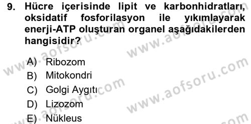 Temel Veteriner Genetik Dersi 2015 - 2016 Yılı (Vize) Ara Sınav Soruları 9. Soru