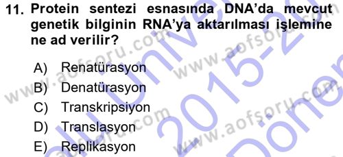 Temel Veteriner Genetik Dersi 2015 - 2016 Yılı (Final) Dönem Sonu Sınav Soruları 11. Soru