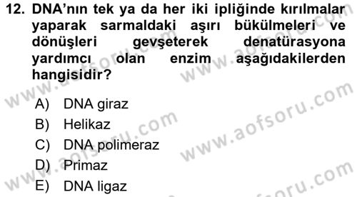 Temel Veteriner Genetik Dersi 2015 - 2016 Yılı (Final) Dönem Sonu Sınav Soruları 12. Soru