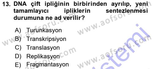 Temel Veteriner Genetik Dersi 2015 - 2016 Yılı (Final) Dönem Sonu Sınav Soruları 13. Soru