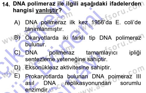 Temel Veteriner Genetik Dersi 2015 - 2016 Yılı (Final) Dönem Sonu Sınav Soruları 14. Soru