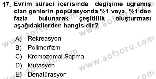 Temel Veteriner Genetik Dersi 2015 - 2016 Yılı (Final) Dönem Sonu Sınav Soruları 17. Soru