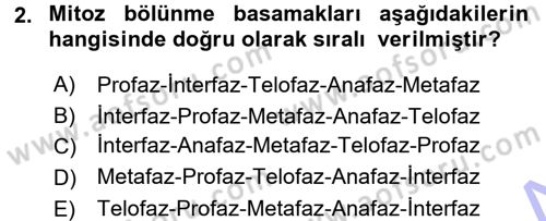 Temel Veteriner Genetik Dersi 2015 - 2016 Yılı (Final) Dönem Sonu Sınav Soruları 2. Soru