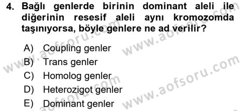 Temel Veteriner Genetik Dersi 2015 - 2016 Yılı (Final) Dönem Sonu Sınav Soruları 4. Soru