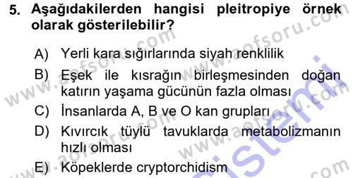 Temel Veteriner Genetik Dersi 2015 - 2016 Yılı (Final) Dönem Sonu Sınav Soruları 5. Soru