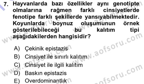 Temel Veteriner Genetik Dersi 2015 - 2016 Yılı (Final) Dönem Sonu Sınav Soruları 7. Soru