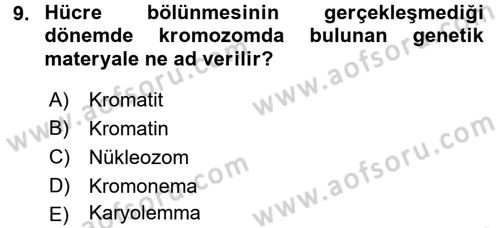Temel Veteriner Genetik Dersi 2015 - 2016 Yılı (Final) Dönem Sonu Sınav Soruları 9. Soru