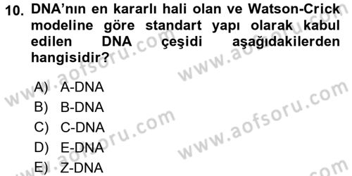Temel Veteriner Genetik Dersi 2015 - 2016 Yılı Tek Ders Sınav Soruları 10. Soru