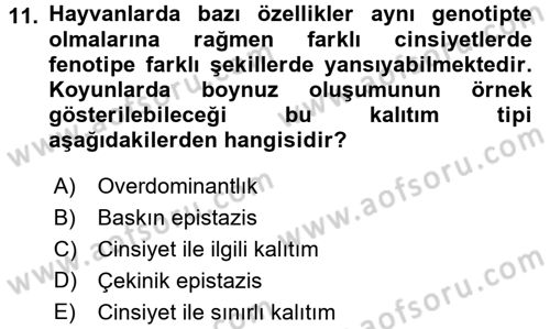 Temel Veteriner Genetik Dersi 2015 - 2016 Yılı Tek Ders Sınav Soruları 11. Soru