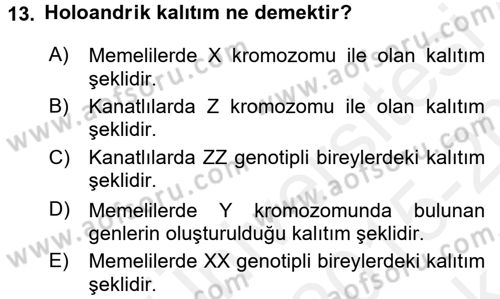 Temel Veteriner Genetik Dersi 2015 - 2016 Yılı Tek Ders Sınav Soruları 13. Soru
