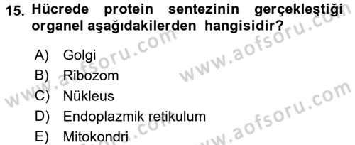 Temel Veteriner Genetik Dersi 2015 - 2016 Yılı Tek Ders Sınav Soruları 15. Soru
