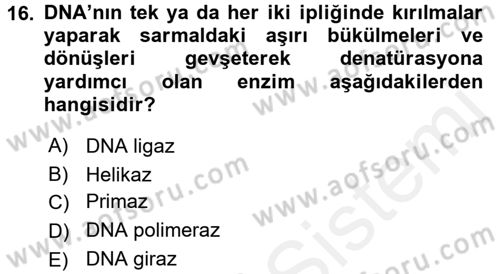 Temel Veteriner Genetik Dersi 2015 - 2016 Yılı Tek Ders Sınav Soruları 16. Soru