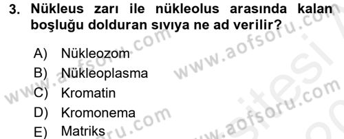 Temel Veteriner Genetik Dersi 2015 - 2016 Yılı Tek Ders Sınav Soruları 3. Soru