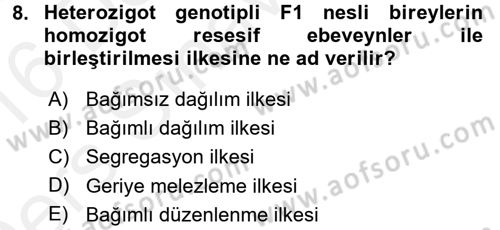 Temel Veteriner Genetik Dersi 2015 - 2016 Yılı Tek Ders Sınav Soruları 8. Soru