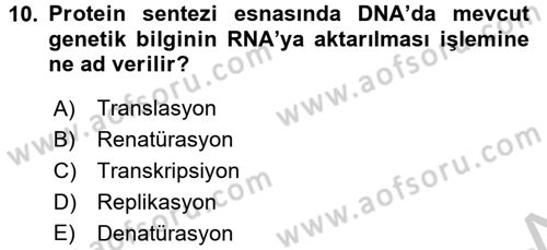 Temel Veteriner Genetik Dersi 2016 - 2017 Yılı 3 Ders Sınav Soruları 10. Soru
