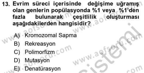 Temel Veteriner Genetik Dersi 2016 - 2017 Yılı 3 Ders Sınav Soruları 13. Soru