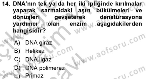 Temel Veteriner Genetik Dersi 2016 - 2017 Yılı 3 Ders Sınav Soruları 14. Soru