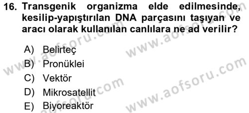 Temel Veteriner Genetik Dersi 2016 - 2017 Yılı 3 Ders Sınav Soruları 16. Soru