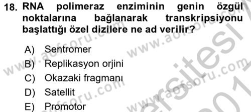Temel Veteriner Genetik Dersi 2016 - 2017 Yılı 3 Ders Sınav Soruları 18. Soru