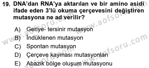 Temel Veteriner Genetik Dersi 2016 - 2017 Yılı 3 Ders Sınav Soruları 19. Soru