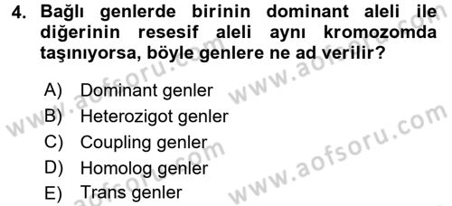 Temel Veteriner Genetik Dersi 2016 - 2017 Yılı 3 Ders Sınav Soruları 4. Soru
