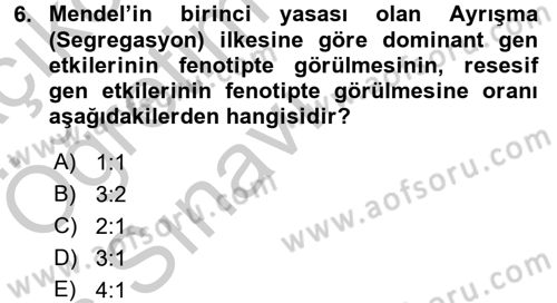 Temel Veteriner Genetik Dersi 2016 - 2017 Yılı 3 Ders Sınav Soruları 6. Soru