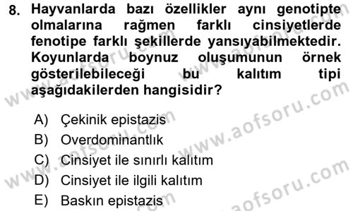 Temel Veteriner Genetik Dersi 2016 - 2017 Yılı 3 Ders Sınav Soruları 8. Soru