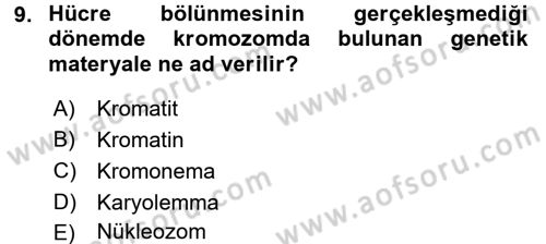 Temel Veteriner Genetik Dersi 2016 - 2017 Yılı 3 Ders Sınav Soruları 9. Soru